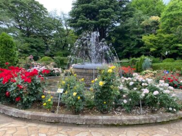 里見公園【市川市】