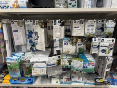 セリア：キテミテマツド店【松戸市】