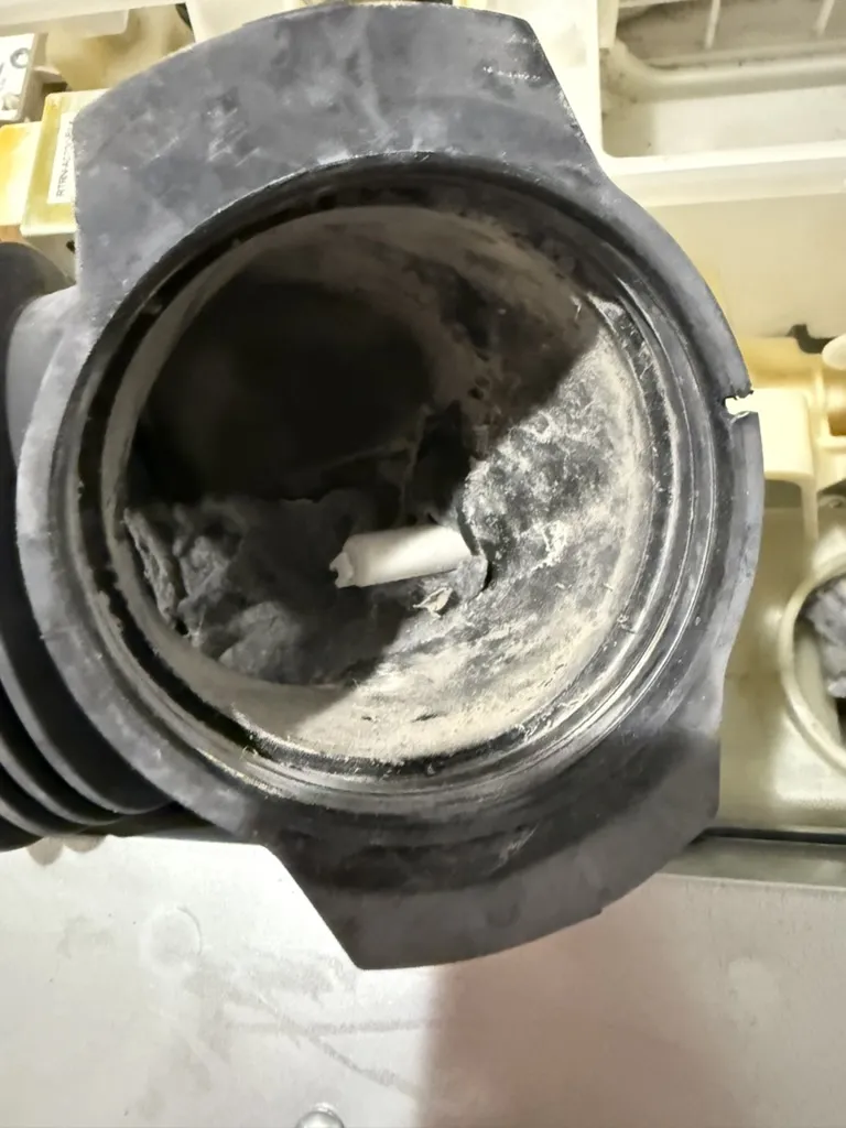 洗濯機_中汚れ_01