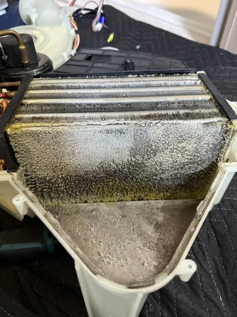 洗濯機_中汚れ_02