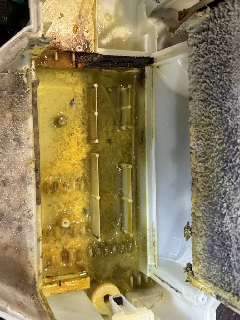 洗濯機_中汚れ_03